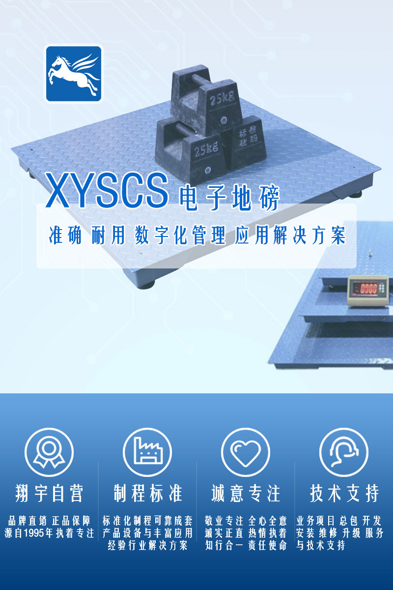 >XYSCS 電子地磅